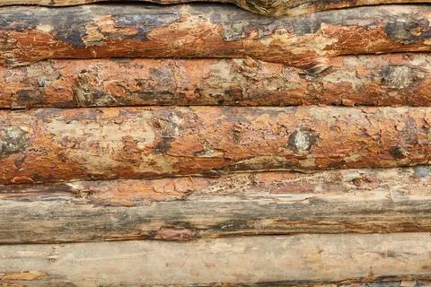 Logs of a log house made of pine for the construction of a wooden house. Th.. Stock Photos