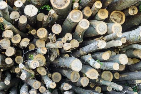 Logs for logging Stock Photos