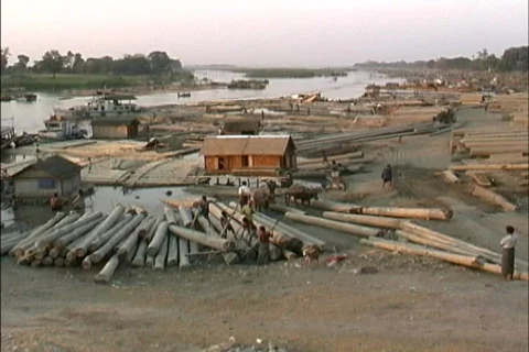 Logs Myanmar Video stock 465393
