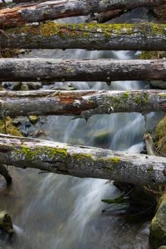 Logs over a moving stream Stock Photos