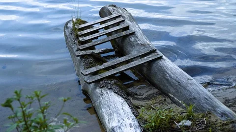 Logs pathway on the lake Stock-Footage 94362225