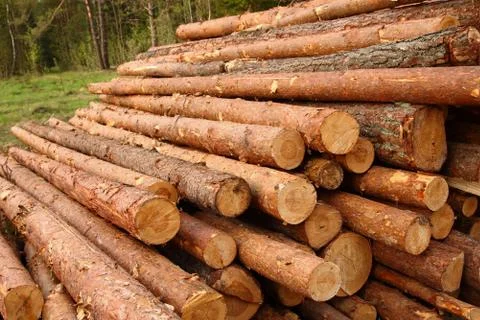 Logs Stock Photos