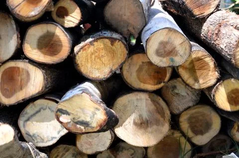 Logs Stock Photos