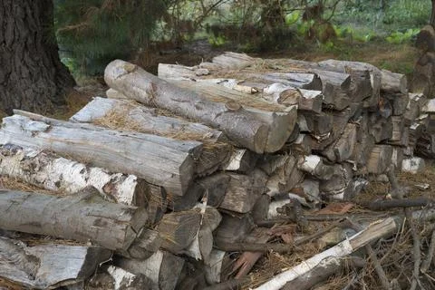 Logs Foto stock