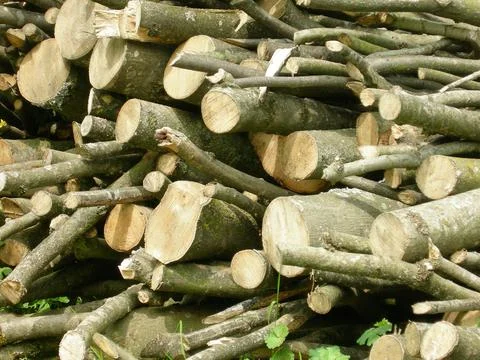 Logs Stock Photos