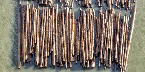 Logs pulled by a tugboat on Fraser River Stock-Fotos