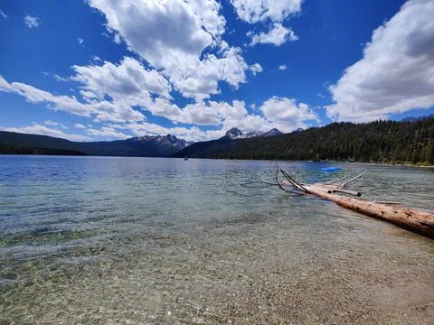 Logs on redfish Stock Photos