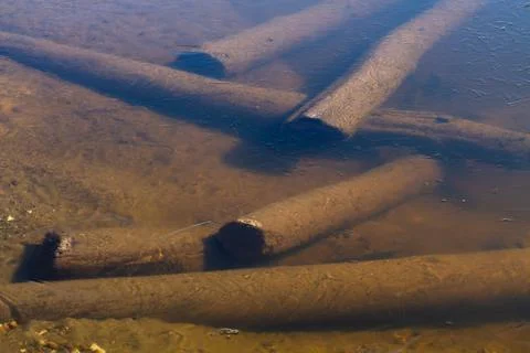 The logs sank in the river Stock Photos
