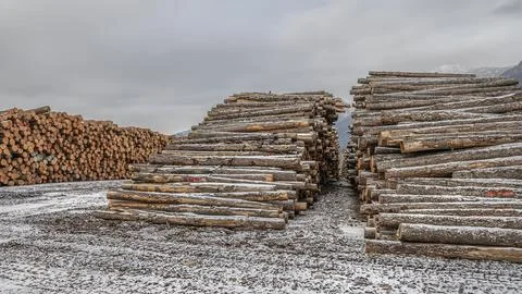 Logs at a Sawmill Stock Photos