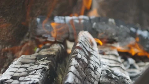 Logs for a shish kebab burn Stock Footage 91126283