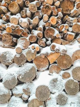 Logs in snow close up Stock Photos
