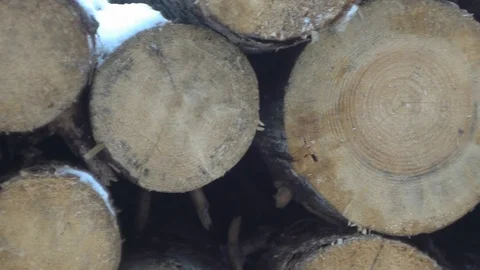 Logs in the snow Stock Footage 123417890