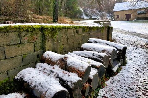 Logs in the snow. Stock Photos