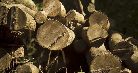 Logs stack Stock Footage 139755564