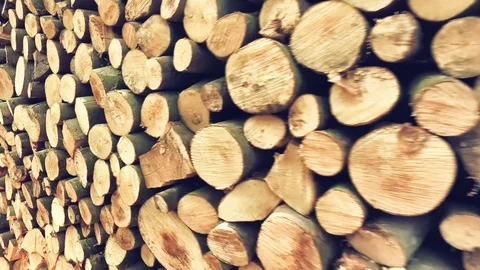 Logs stack at lumber mill, closeup. Industrial background Stock Footage 105292425