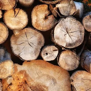 Logs stack. Pile of firewood as a background. Rustic backdrop. Environment Stock-Fotos