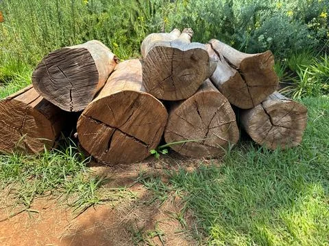 Logs stacked on the grass Stock Photos