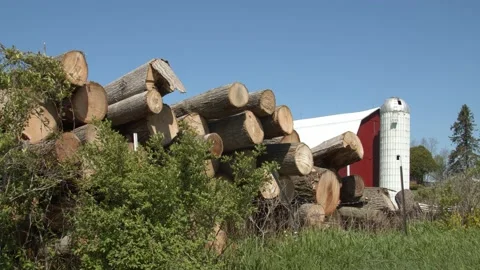 Logs stacked up outside a barn on a farm. 4k60p Stock Footage 132443871