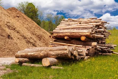 Logs stacked Stock Photos