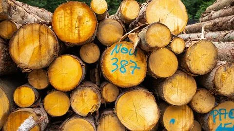 Logs stacked Stock Photos