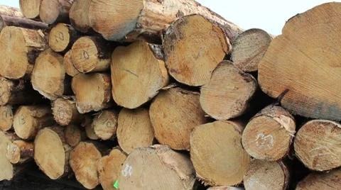 Logs Stacked For Shipping Stock Footage