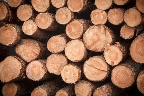 Logs stacked texture Foto stock