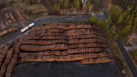 Logs stacked in timber yard paper mill next to asphalt road and forest Stock Footage 297067773