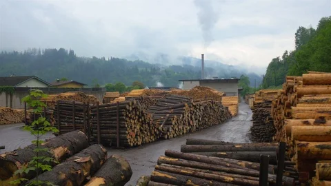 Logs storage at Austrian sawmill yard Stockbeeldmateriaal 128343400
