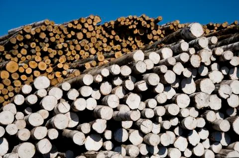 Logs storage Stock Photos