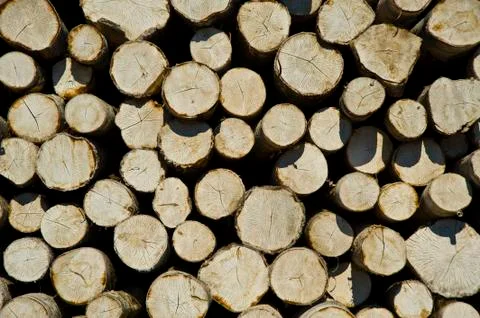 Logs storage Stock Photos