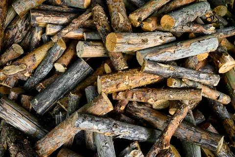 Logs for the stove Stock Photos