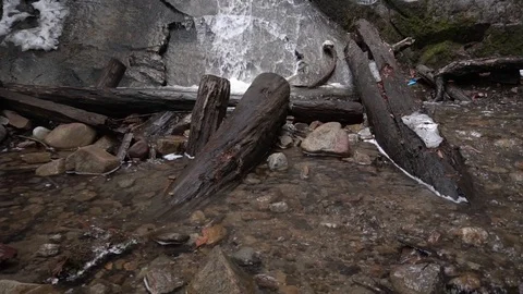 Logs in a stream Stock Footage 88009257