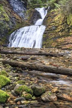 Logs in stream at waterfall. Stock Photos