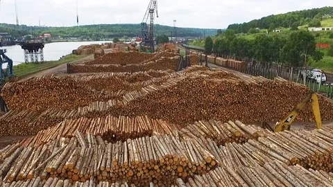 Logs timber port Vanino Stock Footage