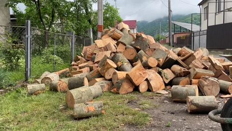 Logs as timber raw material for processing Stock Footage 334527210