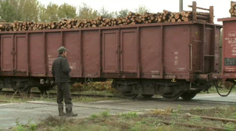 Logs train 5 Stockbeeldmateriaal 779022