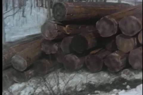 Logs tumbling down snowy hill and hitting trailer Stock-Footage 25207506