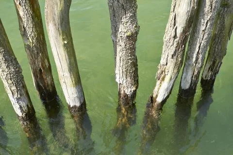 Logs in the wate Stock Photos