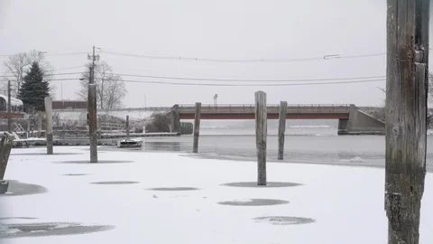 Logs in the water Stock Footage 102083253