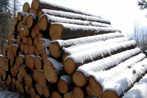 Logs in winter Stock Photos