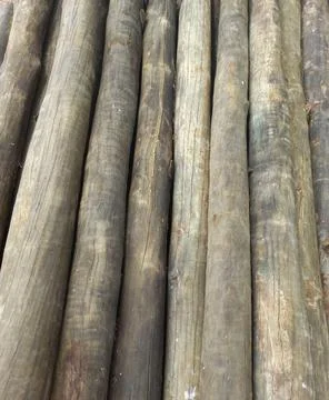 Logs of wood aligned parallel Stockfoto's
