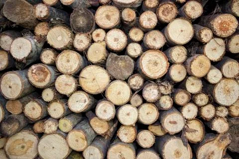 Logs with wood Stock Photos