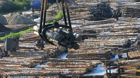 Logs at the wood processing enterprise Stock Footage 97458281