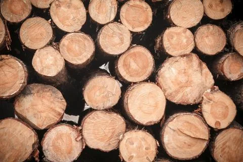 Logs wood stack Stock Photos