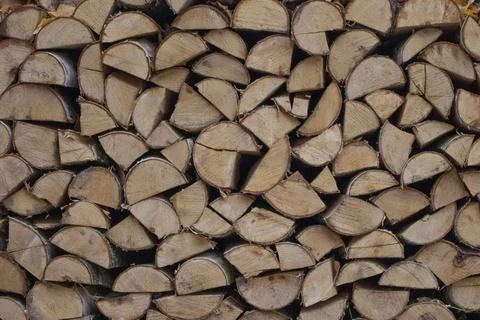 Logs in the yard. Stock Photos