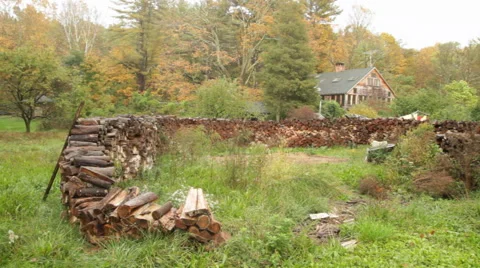 Logstack Wall Video stock 40808317