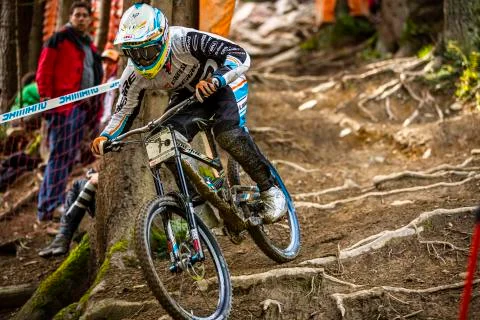 Loic Bruni Stock Photos