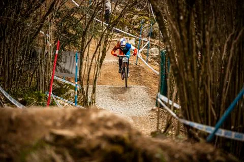 Loic Bruni Stock Photos