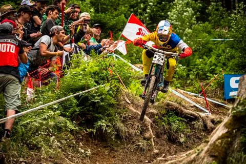 Loic Bruni Stock Photos