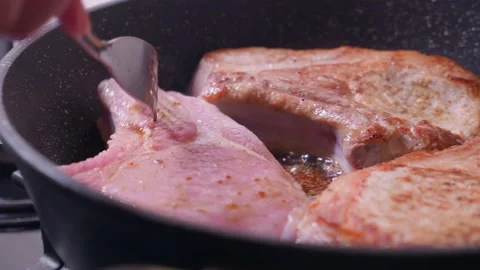 Loin Dish Stock Footage 150680324